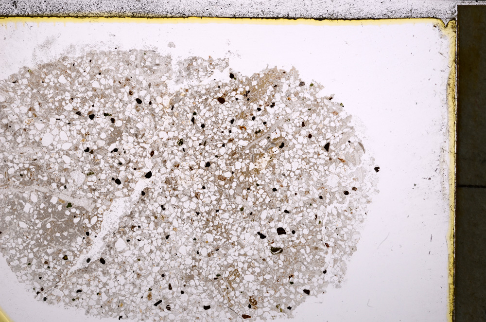 Plane Polarized, E24954