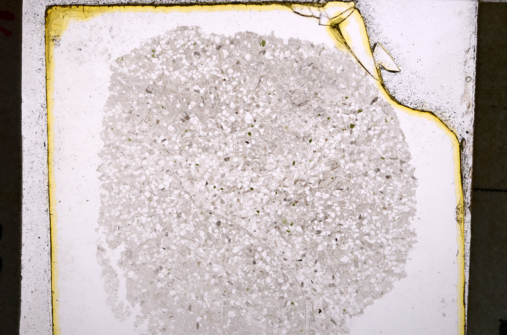 Plane Polarized, E24955