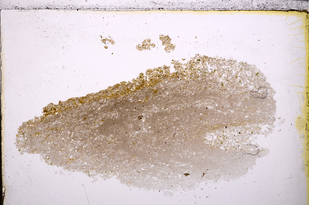 Plane Polarized, E24957