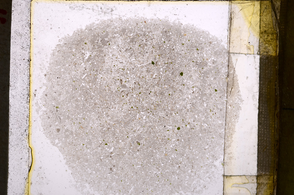 Plane Polarized, E24958