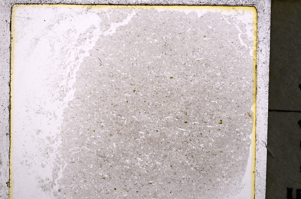 Plane Polarized, E24959