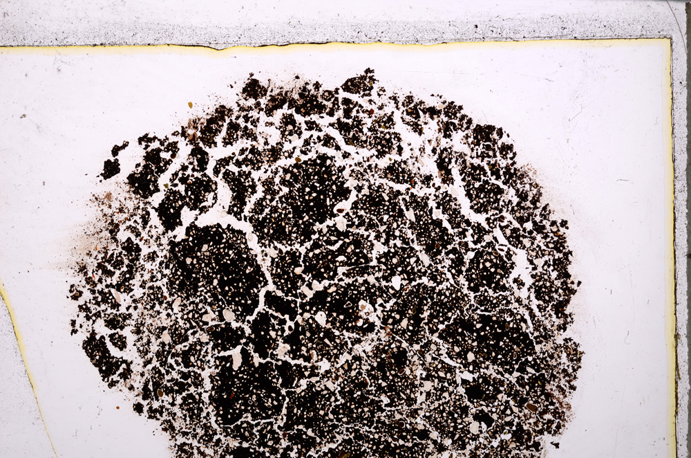 Plane Polarized, E24964