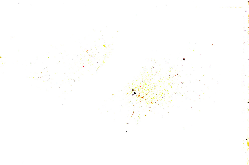 Plane Polarized, E24990