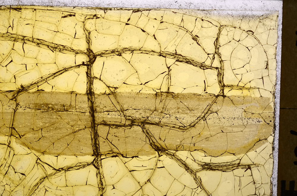 Plane Polarized, E24992
