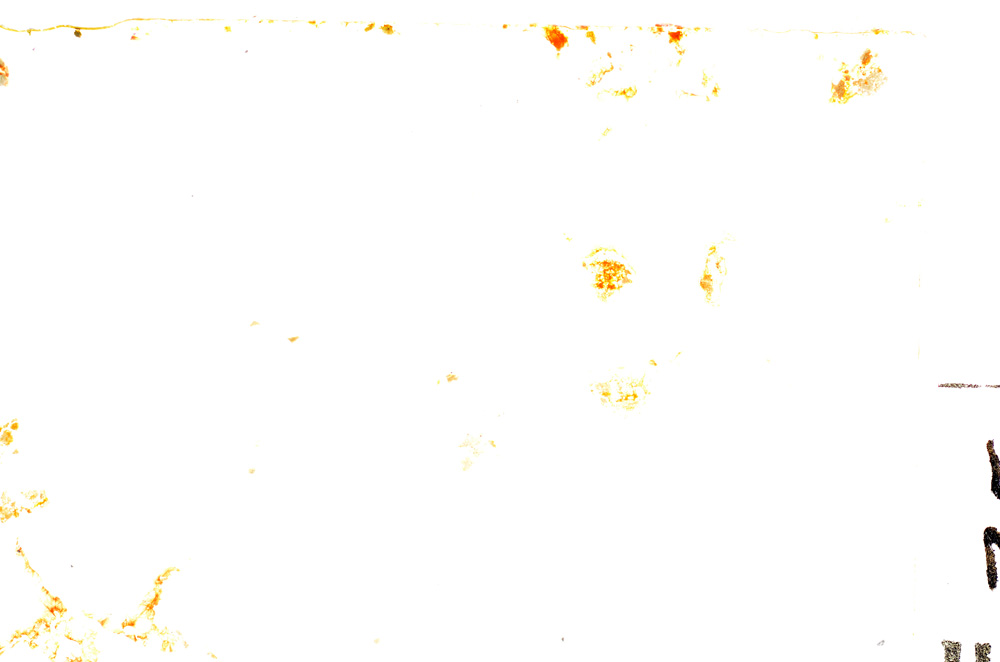 Plane Polarized, E24996