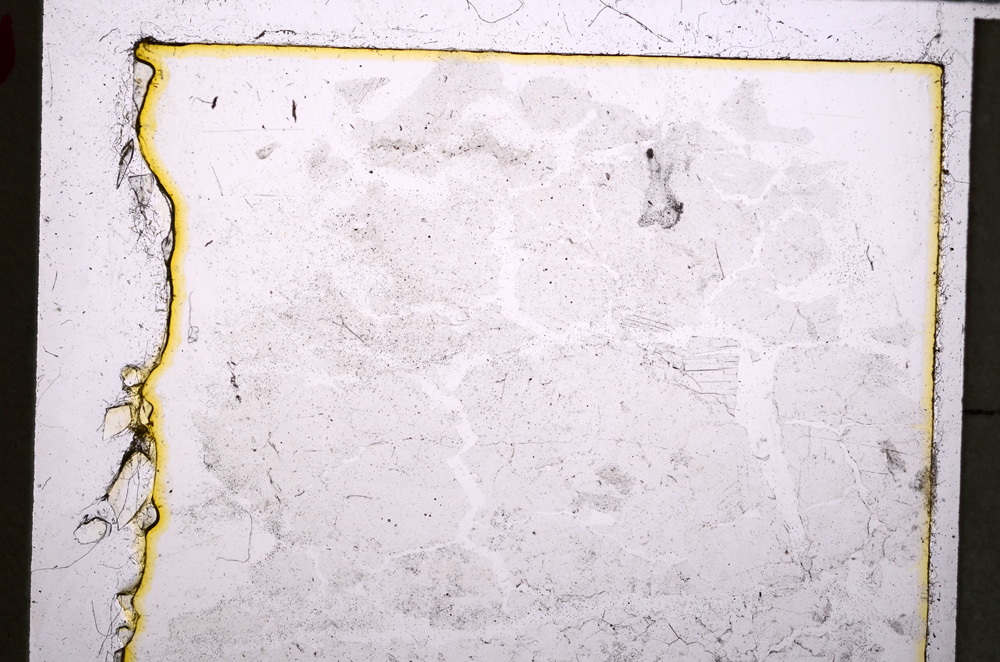 Plane Polarized, E25008