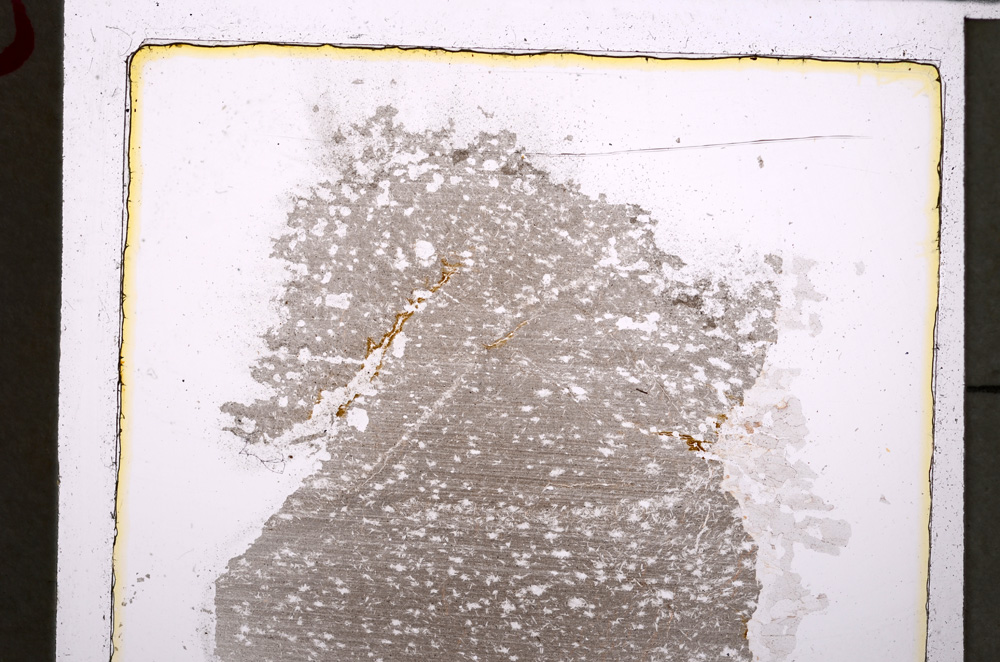 Plane Polarized, E25011