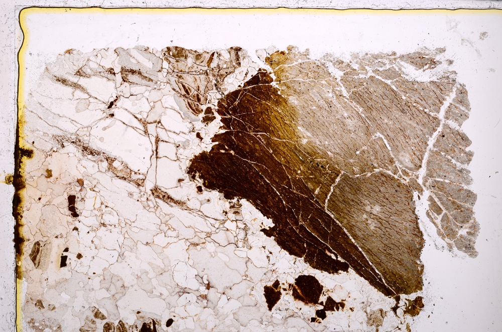 Plane Polarized, E25012