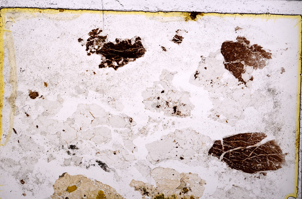 Plane Polarized, E25013