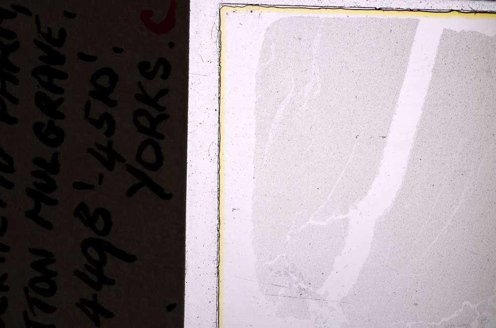 Plane Polarized, E25019