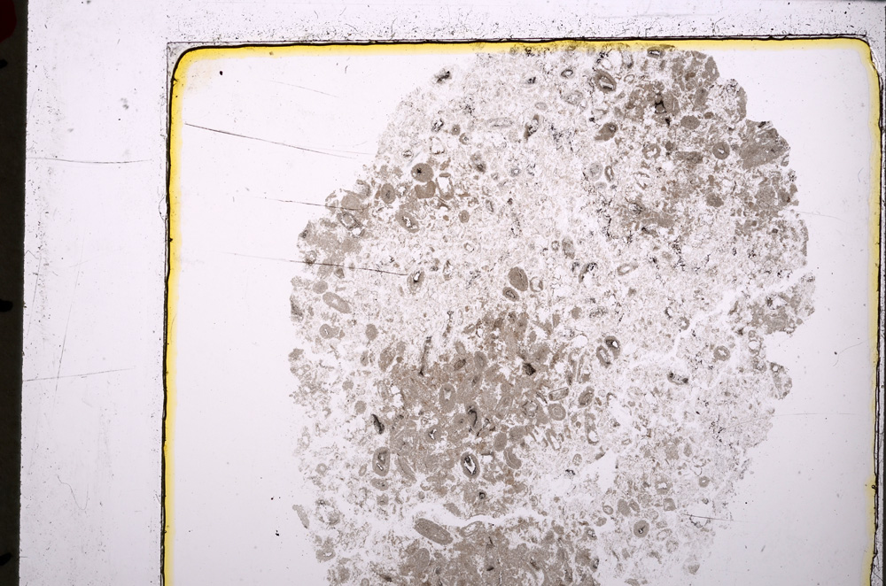 Plane Polarized, E25020