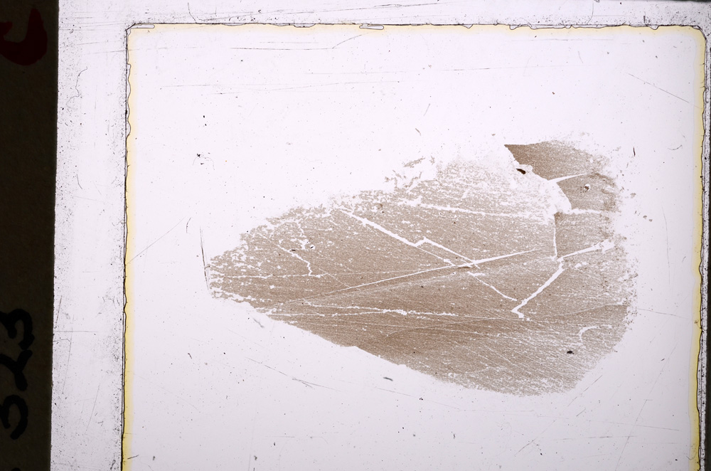 Plane Polarized, E25021