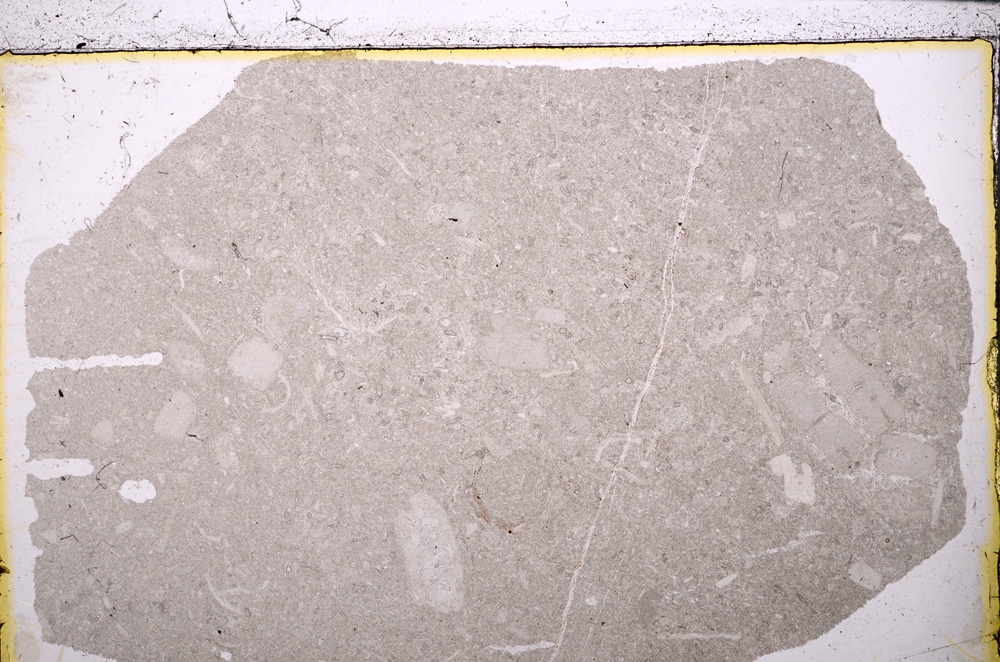 Plane Polarized, E25024