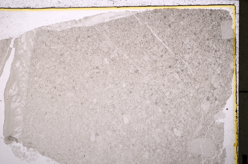 Plane Polarized, E25025