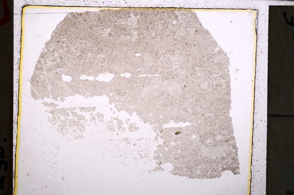 Plane Polarized, E25026