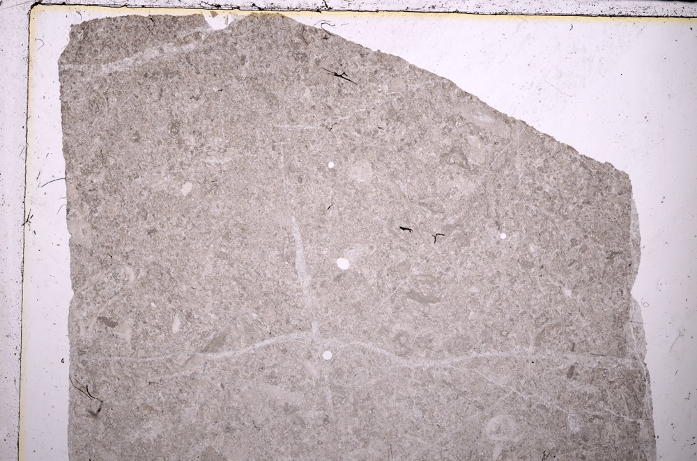 Plane Polarized, E25029