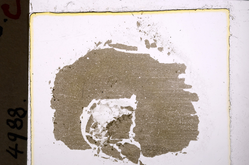 Plane Polarized, E25036