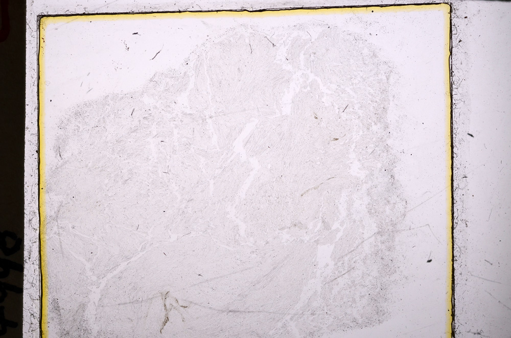 Plane Polarized, E25038