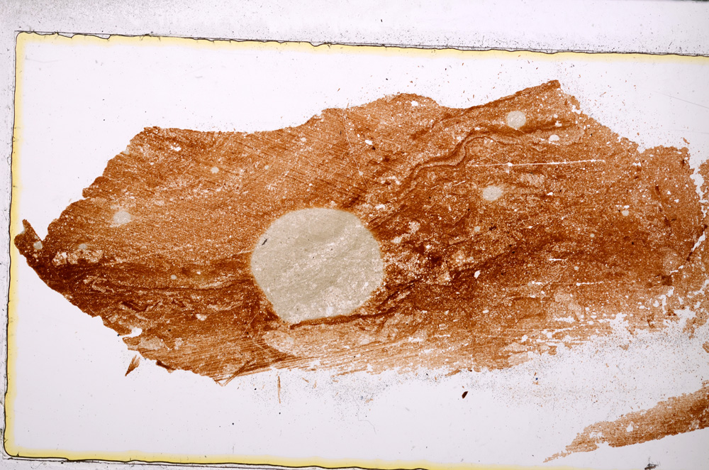 Plane Polarized, E25040