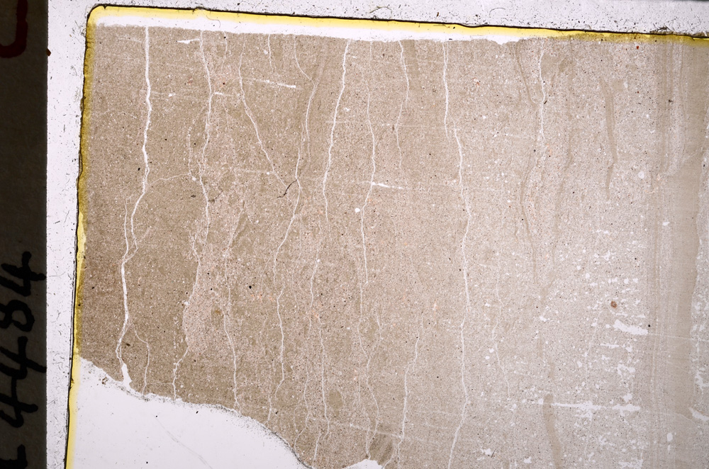 Plane Polarized, E25041