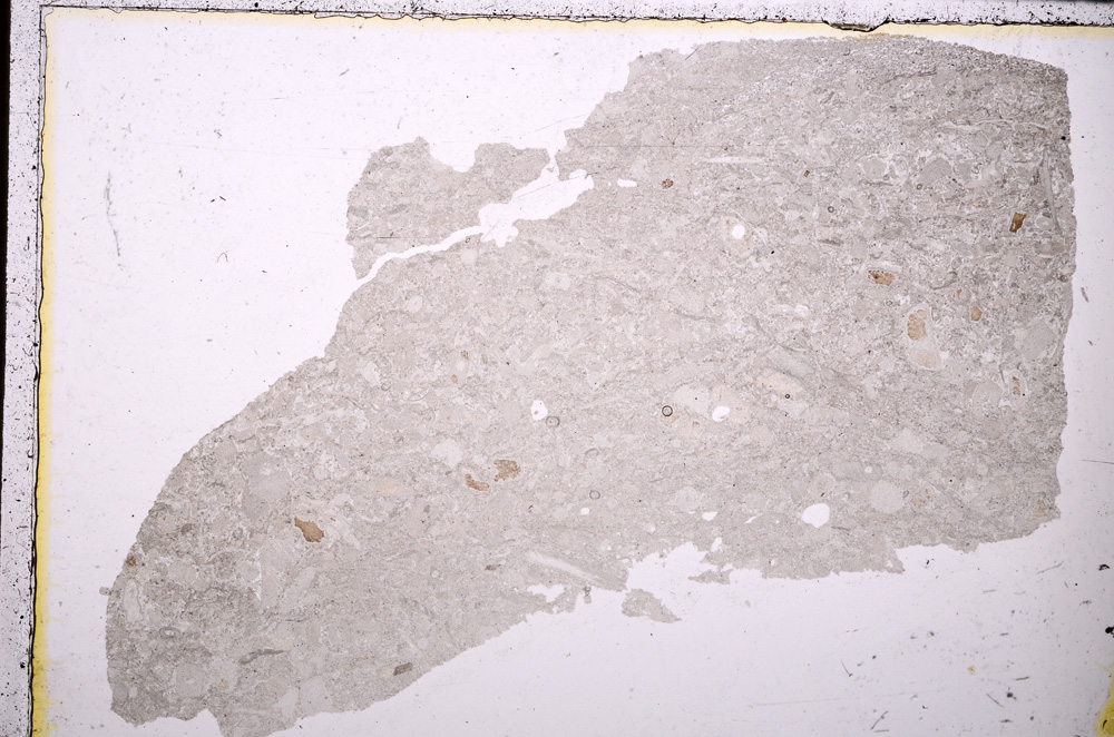 Plane Polarized, E25045