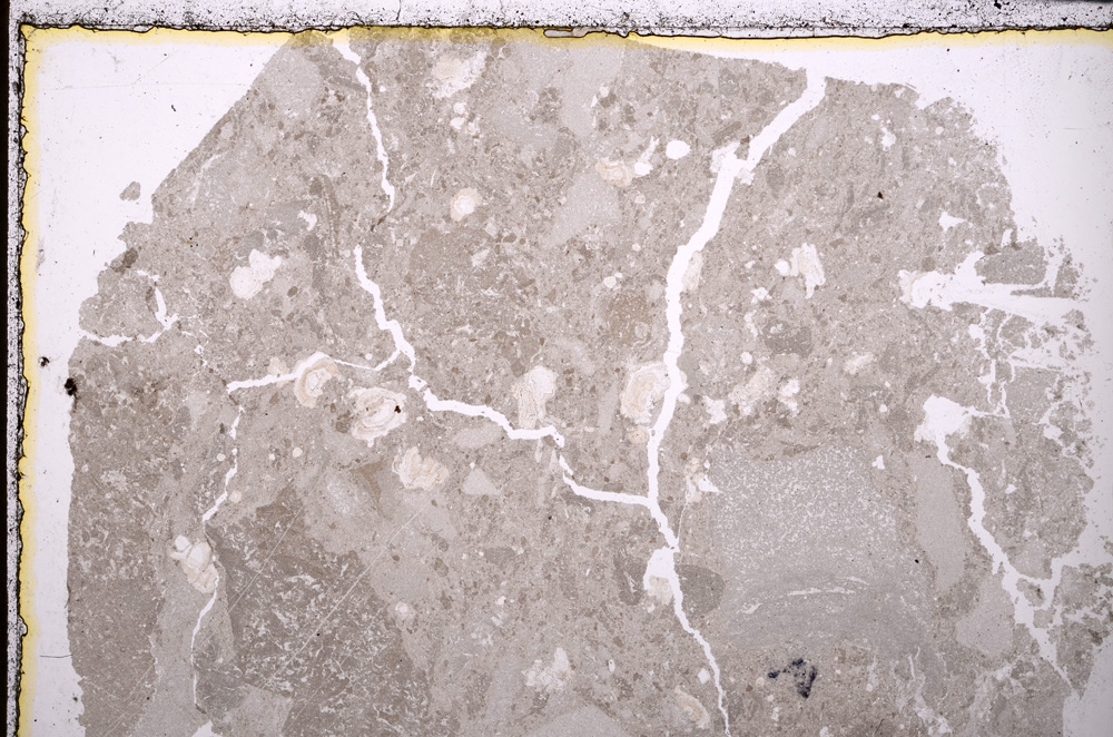 Plane Polarized, E25047