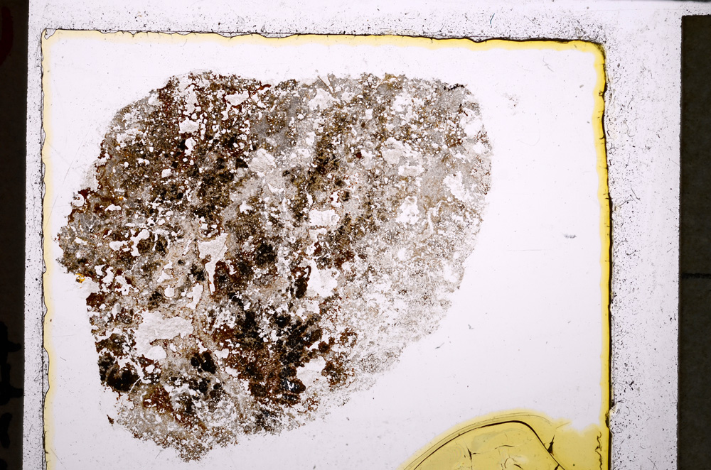 Plane Polarized, E25048