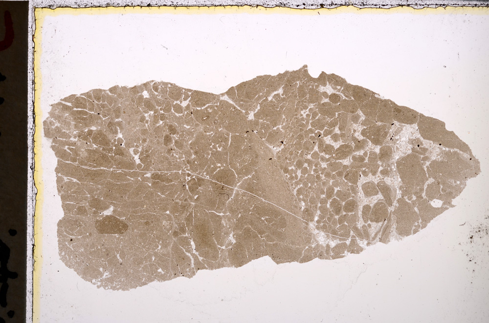 Plane Polarized, E25049