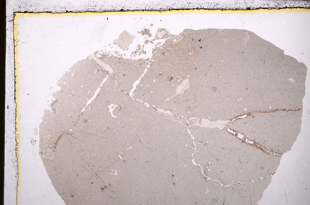 Plane Polarized, E25051