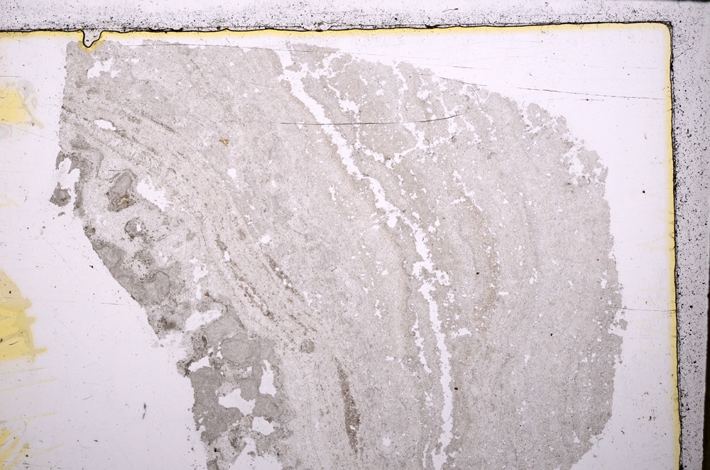 Plane Polarized, E25062