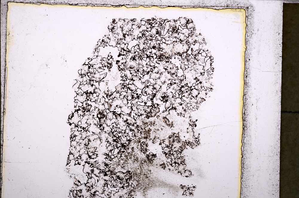 Plane Polarized, E25063