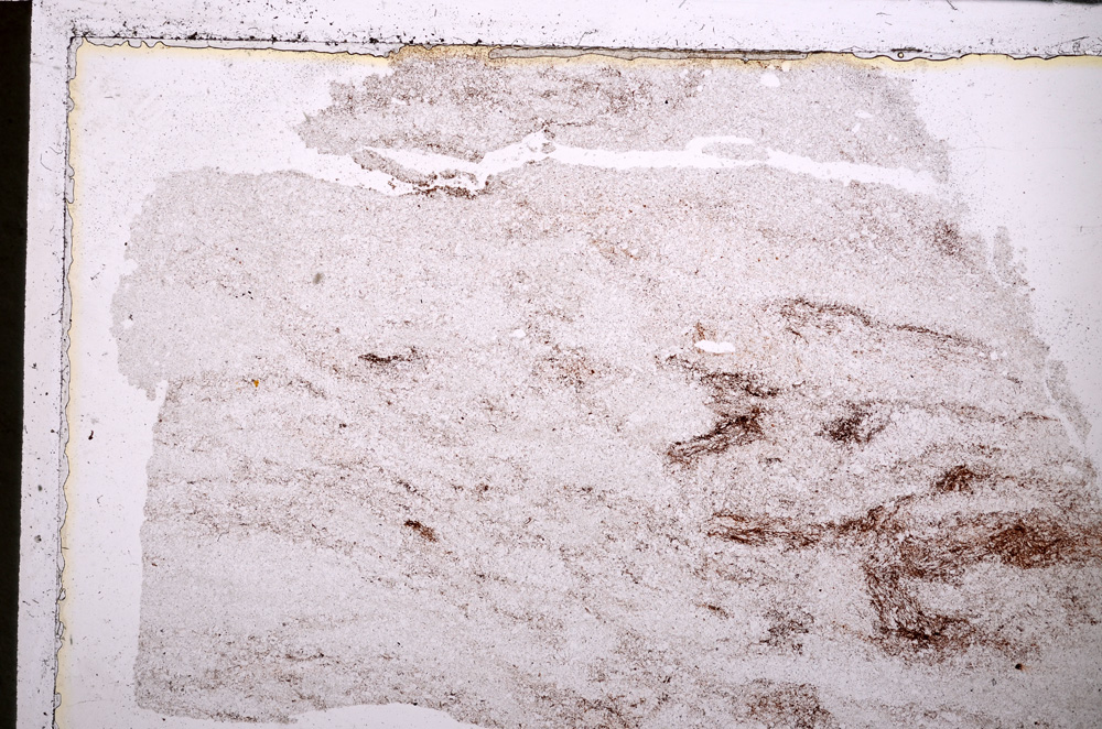 Plane Polarized, E25070