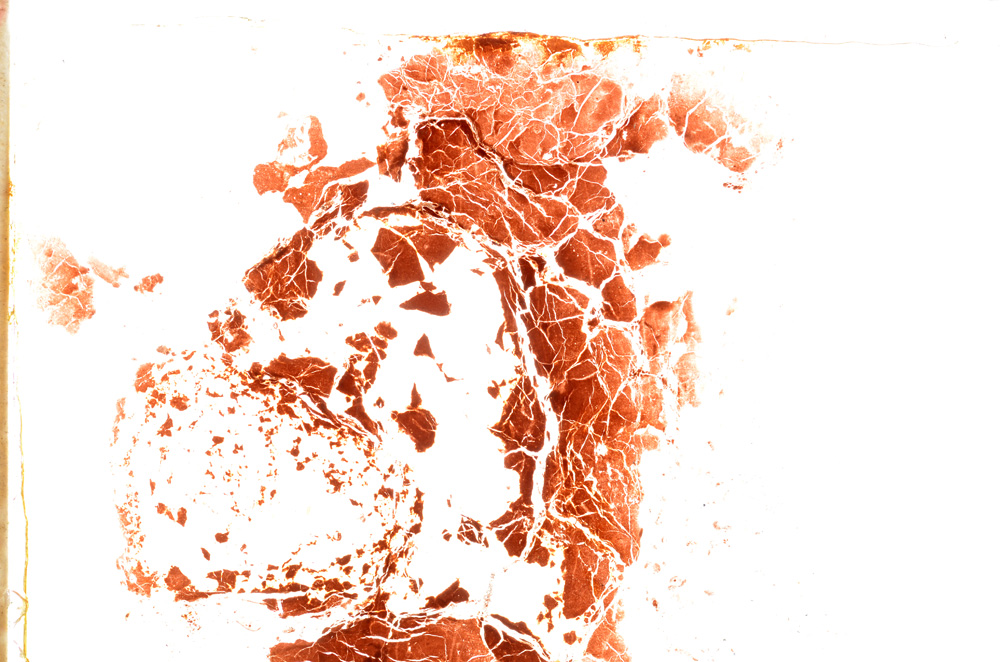 Plane Polarized, E25073