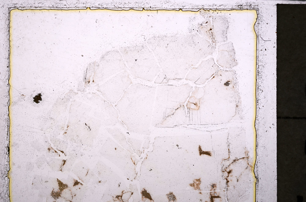 Plane Polarized, E25075