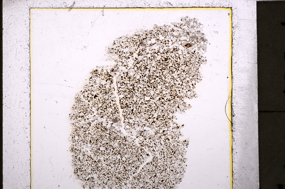 Plane Polarized, E25089