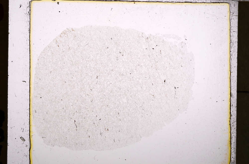 Plane Polarized, E25115