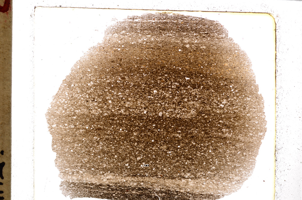 Plane Polarized, E25238