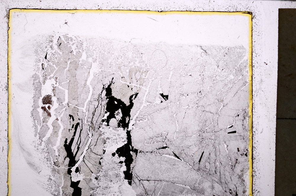 Plane Polarized, E25271