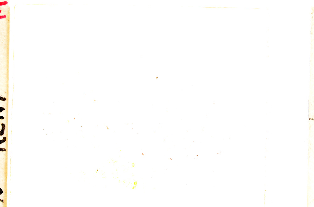Plane Polarized, E25286
