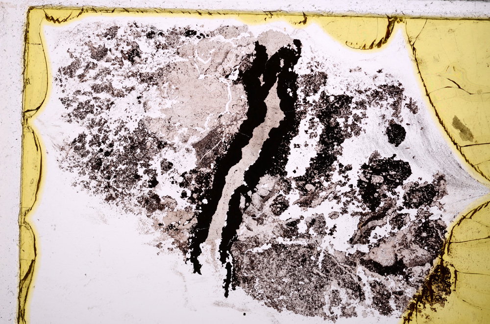 Plane Polarized, E25306