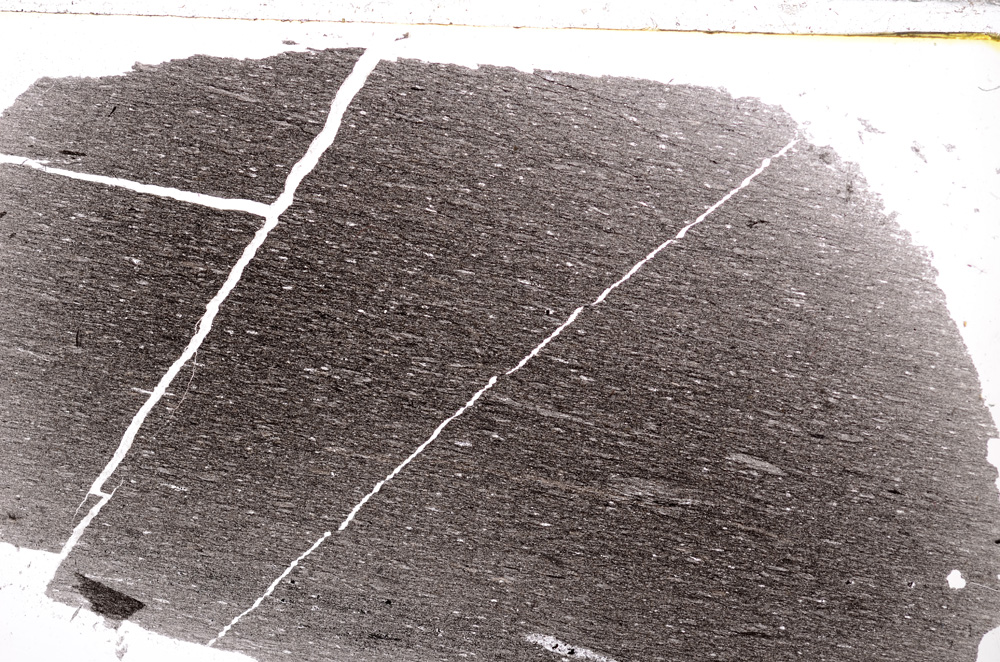 Plane Polarized, E25323