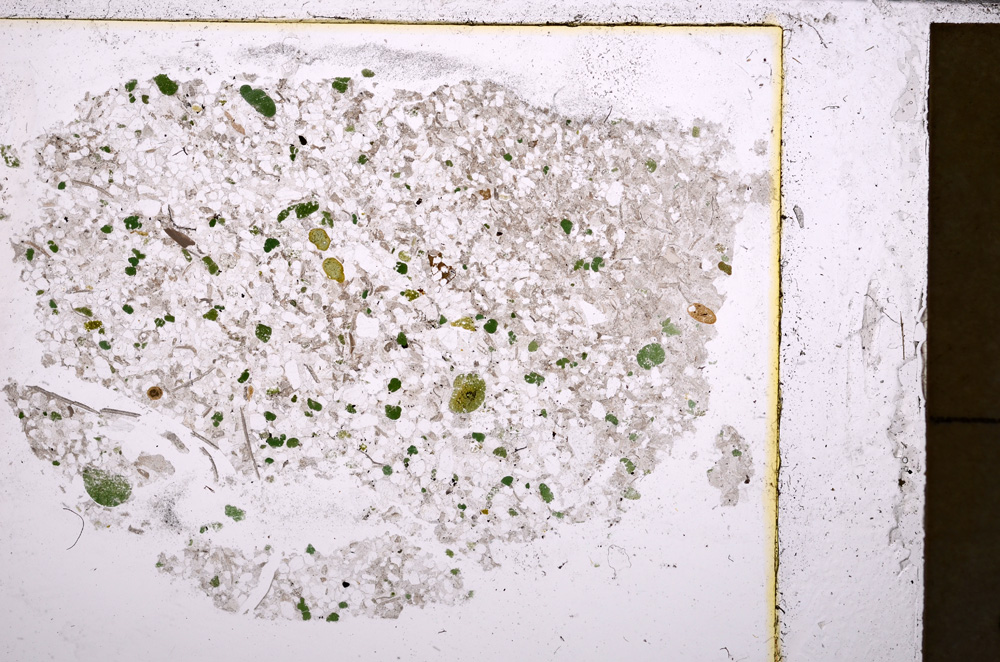 Plane Polarized, E25478