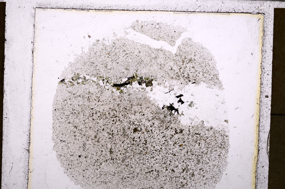 Plane Polarized, E25480