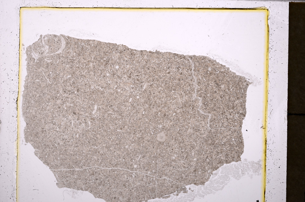 Plane Polarized, E25491