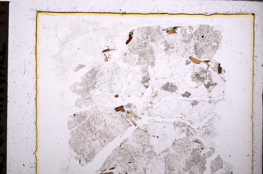 Plane Polarized, E25502