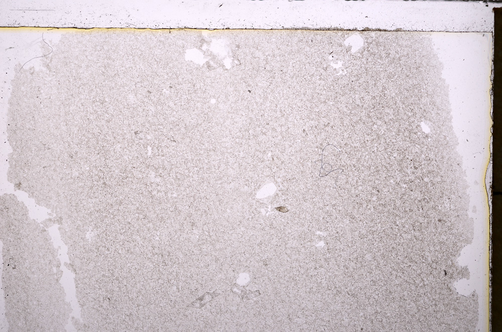 Plane Polarized, E25504