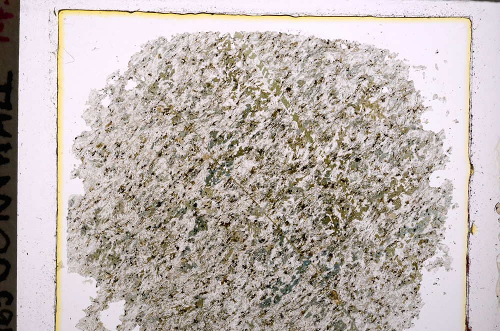 Plane Polarized, E25512