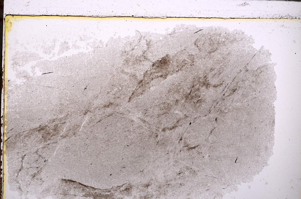 Plane Polarized, E25524