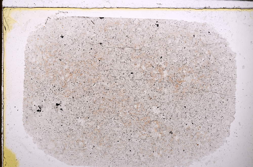 Plane Polarized, E25556