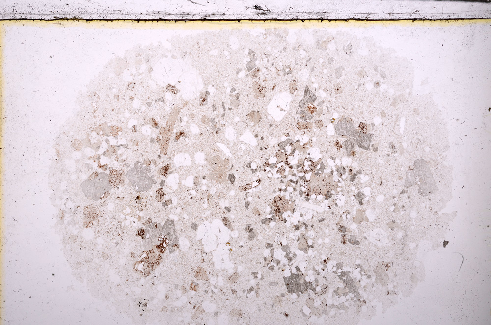 Plane Polarized, E25560